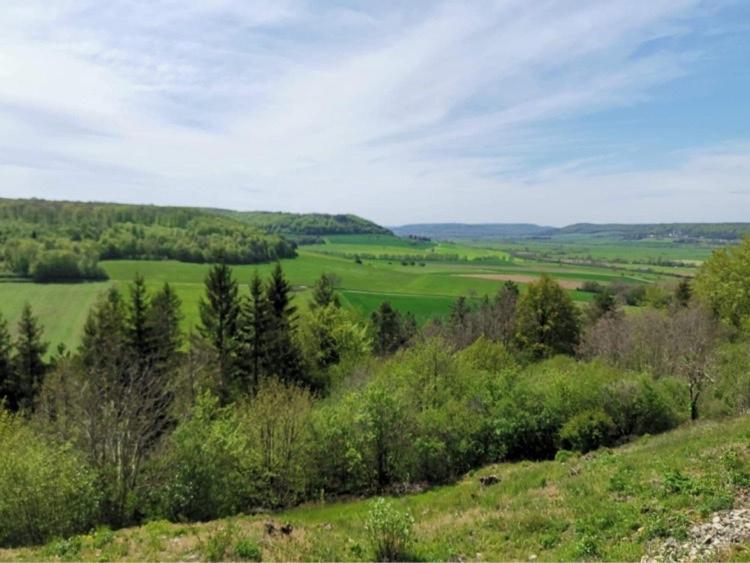Le Nid D'Alex Spa , Rando Et Table D'Hote Autigny-la-Tour 외부 사진